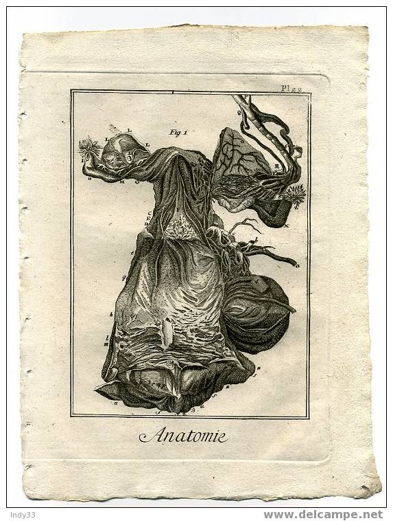 - "ANATOMIE. PL. 22". EAU FORTE DU XVIIIe S. - Matériel Médical & Dentaire