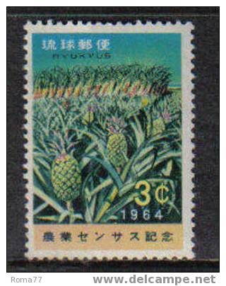 D539 - RYU KYU , ANANAS N. 114  *** - Riukiu-eilanden