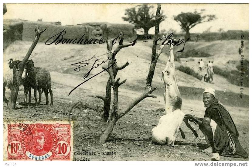 SENEGAL .  AFRIQUE OCCIDENTALE -  SOUDAN -  BOUCHERIE MODELE . - Soedan