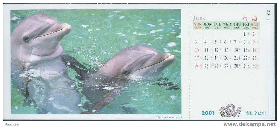 Dolphin - Two Bottle-nosed Dolphins (Tursiops Aduncus) Pre-stamped Postcard With The Monthly Calendar Of 2001-06 - Dauphins