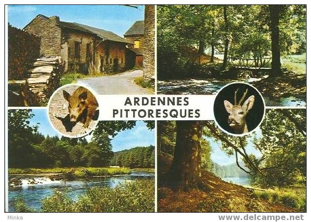 Ardennes Pittoresques - Andenne