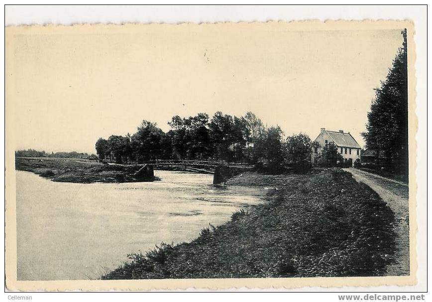 Maaseik Zicht Op De Maas (j204) - Maaseik