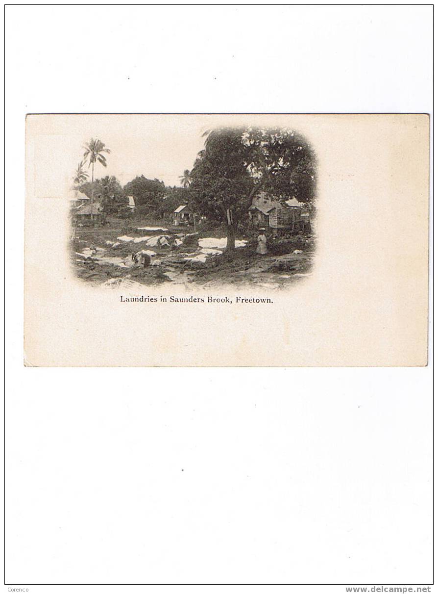 FREETOWN    C 24  Laundries In Saunders Brook  Non écrite Dos Non Séparé 1904 - Sierra Leona