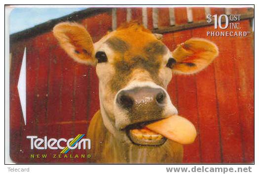 VACHE KUH COW KOE VACA MUCCA Telecarte (15) - Vacas