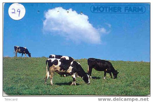 VACHE KUH COW KOE VACA MUCCA Telecarte (29) - Vacas