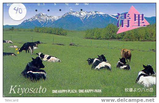 VACA VACHE KUH COW KOE MUCCA Tarjeta (40) - Cows