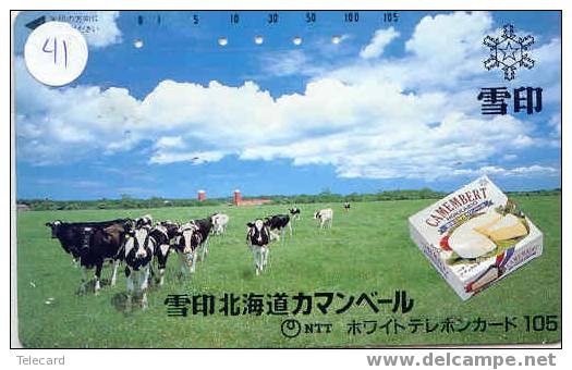 VACHE KUH COW KOE VACA MUCCA Telecarte (41) - Vacas