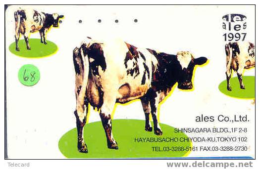 VACHE KUH COW KOE VACA MUCCA Telecarte (68) - Vacas