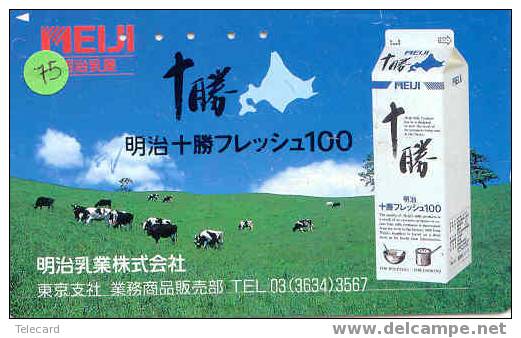 VACHE KUH COW KOE VACA MUCCA Telecarte (75) - Cows