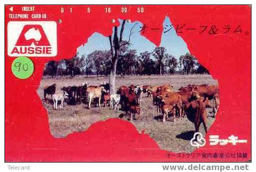 VACA VACHE KUH COW KOE MUCCA Tarjeta (90) - Vacas