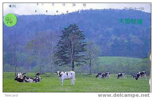 COW VACA VACHE KUH KOE MUCCA On Phonecard (96) - Vacas