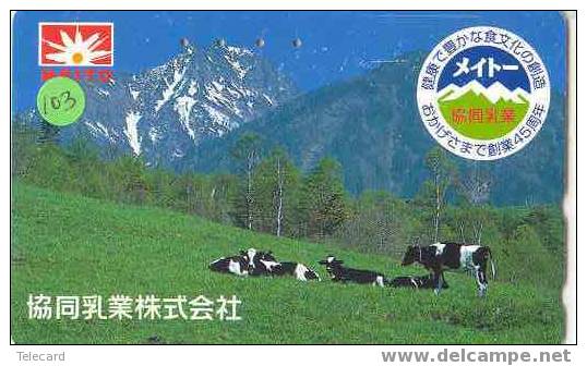 COW VACA VACHE KUH KOE MUCCA On Phonecard (103) - Cows