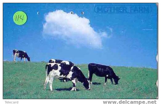 COW VACA VACHE KUH KOE MUCCA On Phonecard (114) - Cows