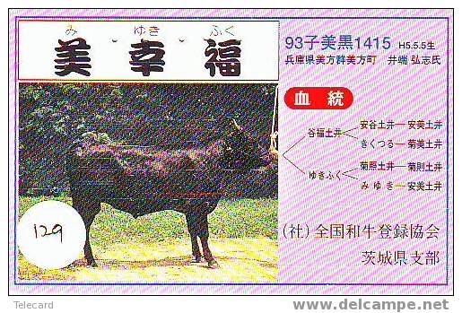 VACHE KUH COW KOE VACA MUCCA Telecarte (129) - Vacas