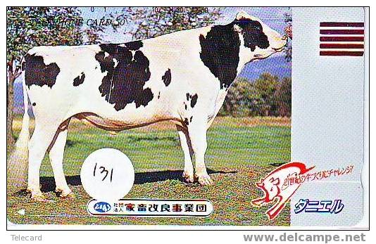 VACHE KUH COW KOE VACA MUCCA Telecarte (131) - Vacas