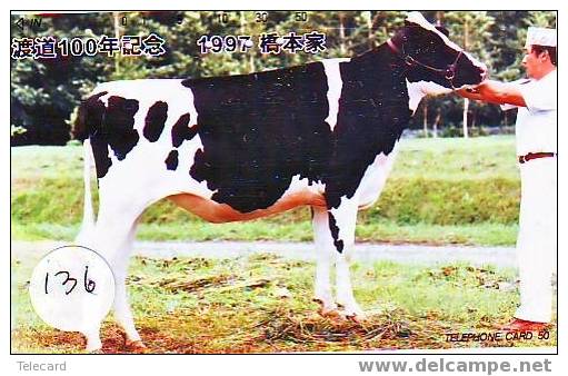 COW VACA VACHE KUH KOE MUCCA On Phonecard (136) - Cows