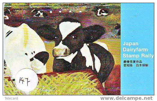 COW VACA VACHE KUH KOE MUCCA On Phonecard (147) - Cows