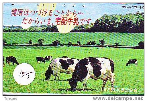 COW VACA VACHE KUH KOE MUCCA On Phonecard (155) - Vacas