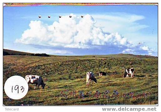 COW VACA VACHE KUH KOE MUCCA On Phonecard (193) - Cows