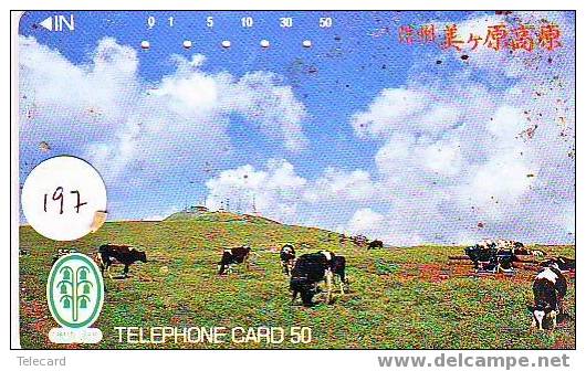 VACHE KUH COW KOE VACA MUCCA Telecarte (197) - Vacas