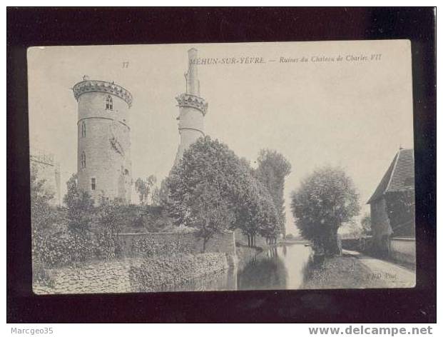 008987 Mehun Sur Yèvre Ruines Du Château De Charles VII édit.ND N°17 - Mehun-sur-Yèvre