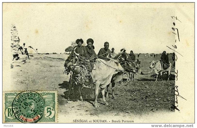 SENEGAL . AFRIQUE OCCIDENTALE .  SOUDAN . BOEUFS PORTEURS . - Niger