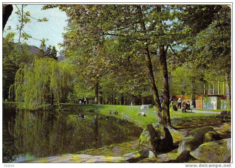 Carte Postale Munster Le Parc, L'étang Et La Piscine - Munster