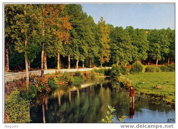 UN JOLI COIN DE PECHE - Fishing