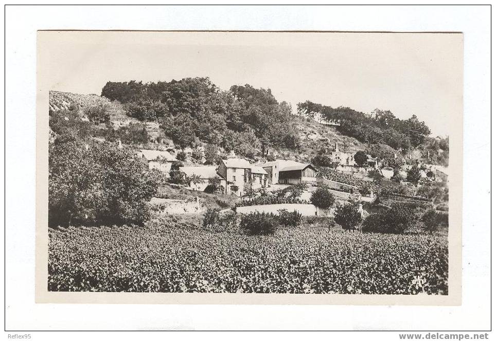 VOUVRAY - Les Vignes Et La Vallée Chartrier - Vouvray