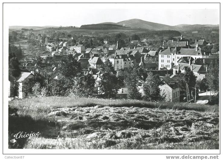 19 - CORREZE - TREIGNAC - BELLE VUE D´ENSEMBLE - EDITION THEOJAC  SANS N° - Treignac