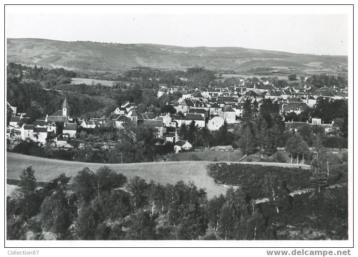 19 - CORREZE - TREIGNAC - BELLE VUE D´ENSEMBLE - EDITION THEOJAC 4560 - Treignac