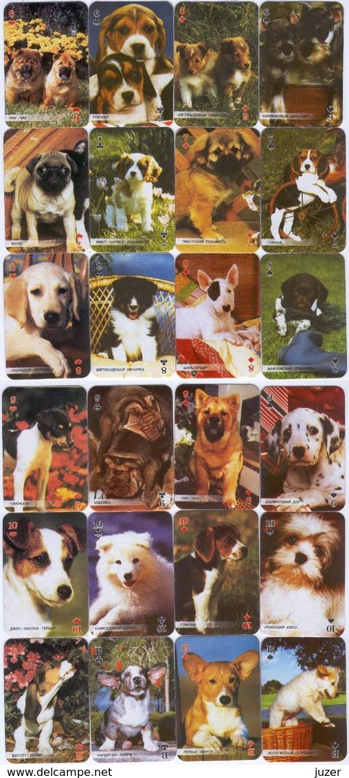 Russian Playing Cards PUPPIES (36) - Cartes à Jouer Classiques