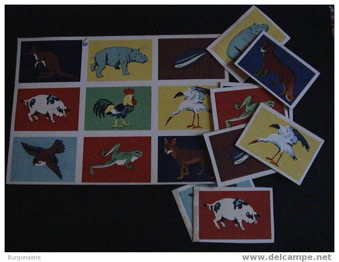 Maternelle / Ancien Carton De Jeu De Loto ( Animaux) - Andere & Zonder Classificatie