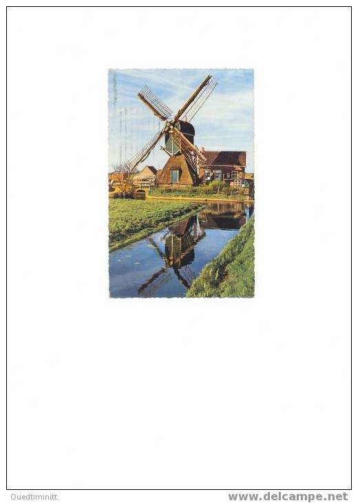 Hollande.Amsterdam.Moulin   à Vent.Très Belle Cpsm Couleur Dentelée.1960. - Windmühlen