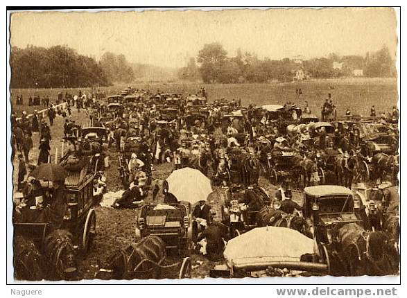 PARIS  -  CHAMP DE COURSES -  DANS LE DESORDRE HETEROCLITEDE LA PELOUSE ,  LES TURFISTES SEMBLENT DAVANTAGE SE PREOCUPER - Hippisme