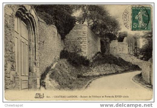 Château-Landon - Ruines De L'abbaye Et Porte Du XVIIIe Siècle - Chateau Landon