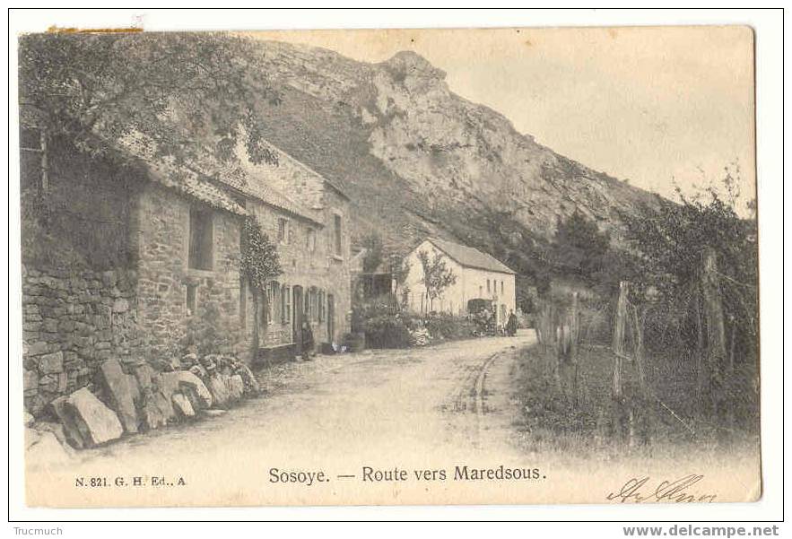 7873 - SOSOYE - Route De Maredsous - Anhée