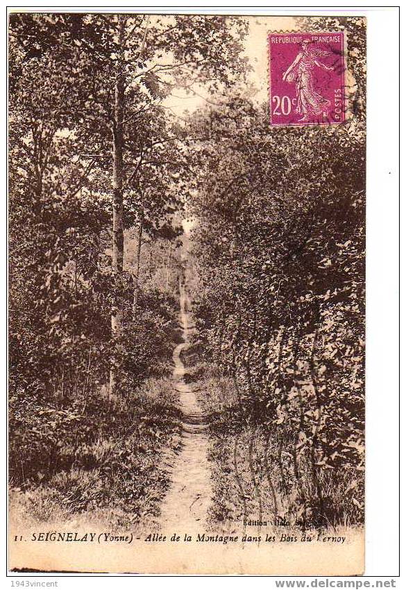 C 1792 - SEIGNELAY - Allée De La Montagne Dans Les Bois Du Kernoy - - Seignelay