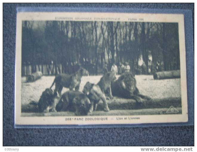 CPA-ANIMAUX-LIONS ET LIONNES AU PARC ZOOLOGIQUE-EXPOSITION COLONIALE- - Lions