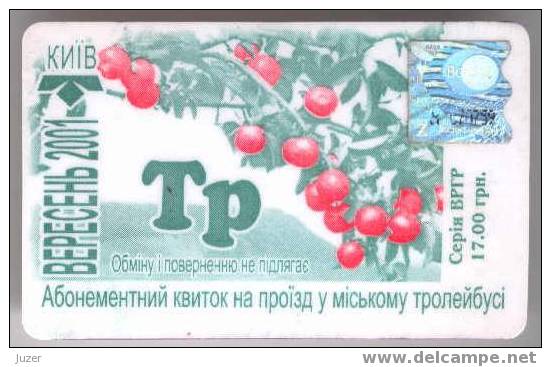 Ukraine: Month Trolleybus Card From Kiev 2001/09 - Europe