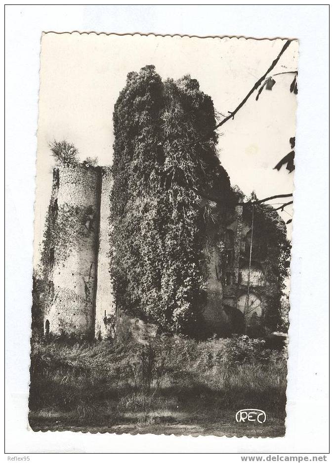 SANCOINS - Ruines Du Château De Jouy - Sancoins