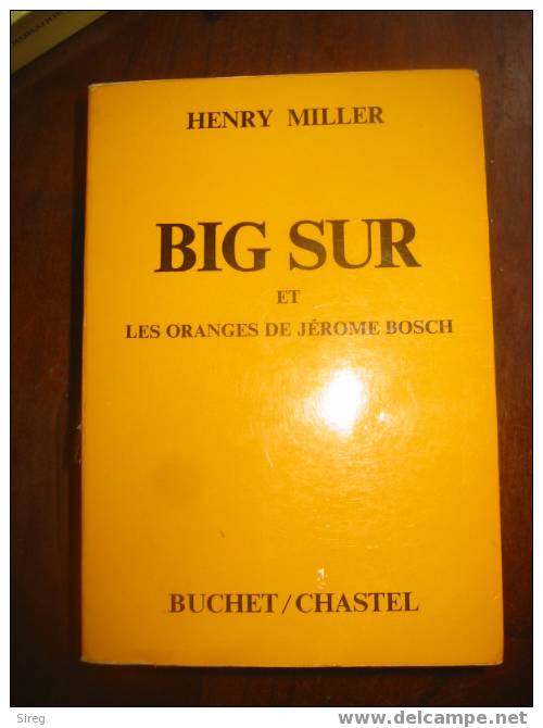 Big Sur Et Les Oranges De Jerome Bosh - Altri & Non Classificati