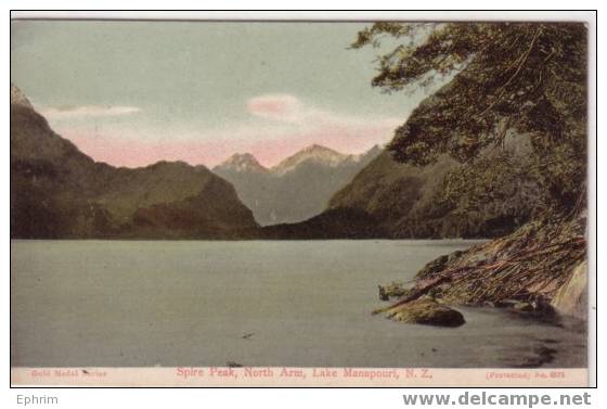 NEW ZEALAND - Spire Peak - North Arm - Lake Manapouri - Nouvelle-Zélande