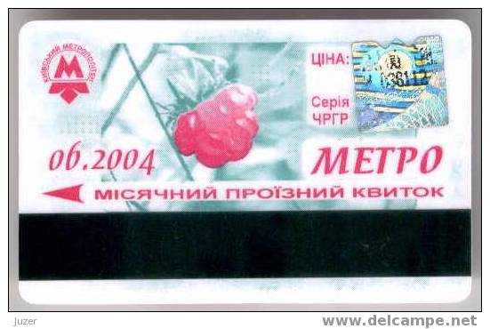 Ukraine: Month Metro Card From Kiev 2004/06 - Europa