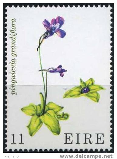 PIA - IRL - 1978 - Flore - Plantes Diverses - (Yv 378-81) - Nuovi