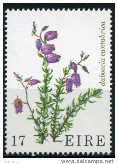 PIA - IRL - 1978 - Flore - Plantes Diverses - (Yv 378-81) - Nuevos
