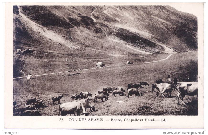 74 Col Des Aravis Route Chapelle Hôtel... Et Les Vaches En Premier Plan - Abondance