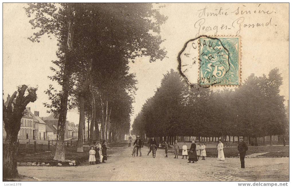 80 / CHAULNES / AVENUE SAINTE ANNE / RARE ET ANIMEE - Chaulnes