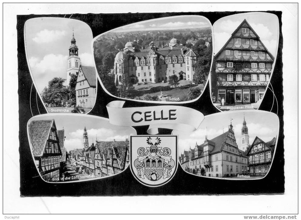 CELLE MULTI VUE - Celle