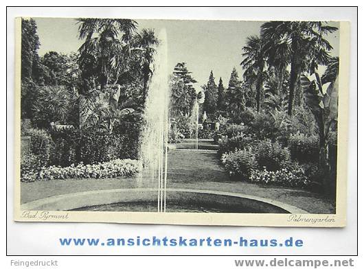 D 3732 - Bad Pyrmont, Palmengarten - S/w Ak, Nicht Gelaufen - Hameln (Pyrmont)